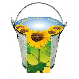 Zink-Eimerchen Sonne, Zwergsonnenblume, 1-4 c Digitaldruck inklusive