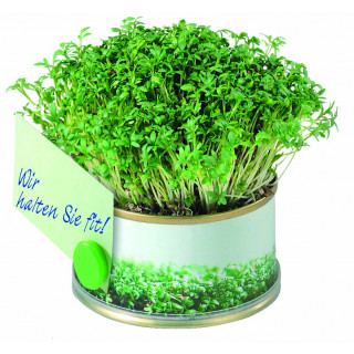 Minigarten Kräuter mit Magnet, Ø 73 x 38 mm, Kresse