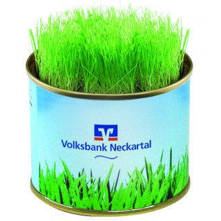 Grüne-Oase-Dose, Ø 73 x 58 mm, Zimmerrasen