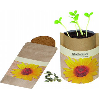 Natur Bag Sonne, Zwergsonnenblumen, 1-4 c Digitaldruck inklusive