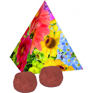 Pyramide Spitzenwachstum, bunte Blumenmischung