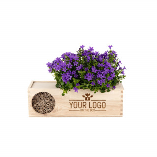 Blooms & Bees out of the Box mit einer Glockenblume und Bienenhotel in Holzbox