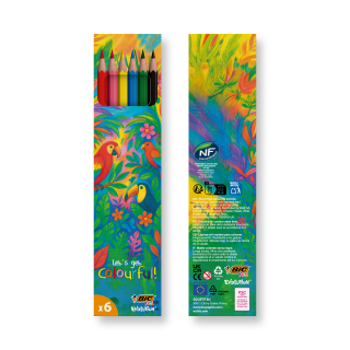 BIC® Kids Evolution® Colouring set x 6 units -Box, mehrfarbig