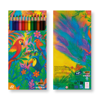 BIC® Kids Evolution® Colouring set x 12 units - Box, mehrfarbig