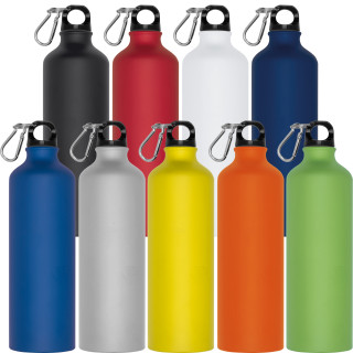 Trinkflasche aus Metall mit Karabinerhaken, 800ml