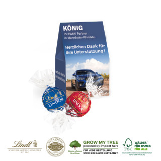 Werbepräsent "Selection Mini" mit 2 Lindt Lindor Pralinés