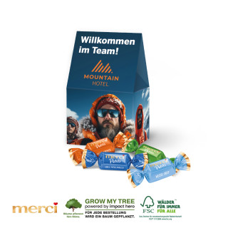 Merci Petit Pralinés „Mini Selection”