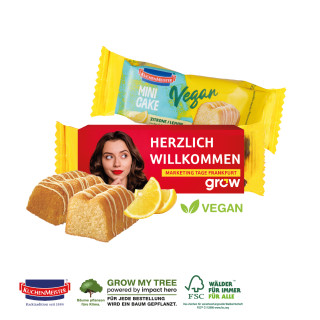 Kuchenmeister Marmor Mini Kuchen vegan