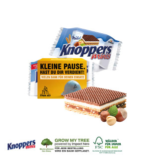 Werbebanderole mit Knoppers Mini