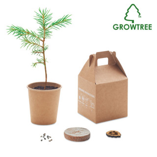 GROWTREE™ Kiefernsamen-Set, beige