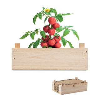 TOMATO Saat-Set Tomate, holz