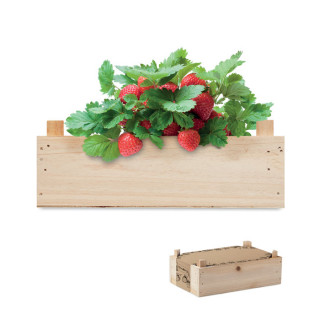 STRAWBERRY Saat-Set Erdbeere, holz