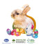 Werbe-Hase