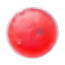 rot