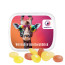 Cavendish & Harvey Mini Bonbons Fruchtmix