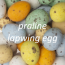 Praliné Kiebitz-Eier