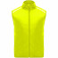 fluor yellow