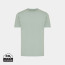 Iceberg green