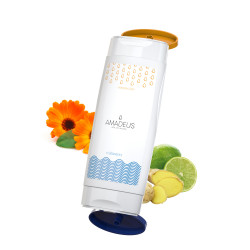 DuoPack Handbalsam Ringelblume + Flüssigseife Ingwer Limette (2 x 50 ml) DuoPack Handbalsam Ringelblume + Flüssigseife Ingwer Limette (2 x 50 ml)