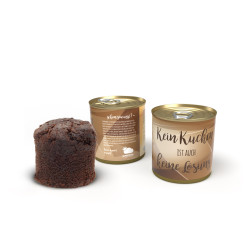 Lenkdrachen "Volare"