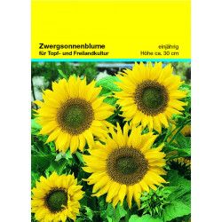 Samentütchen 82x114 mm, Zwergsonnenblume Samentütchen 82x114 mm, Zwergsonnenblume