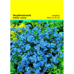 Samentütchen 82x114 mm, Vergissmeinnicht Samentütchen 82x114 mm, Vergissmeinnicht