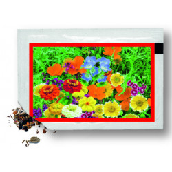 Samentütchen 80x55 mm, bunte Blumenmischung, Standardmotiv, dto Samentütchen 80x55 mm, bunte Blumenmischung, Standardmotiv, dto