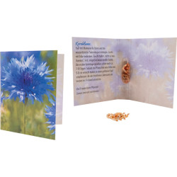 Samenkapsel Blütenpracht, Kornblume