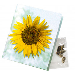 Klappkärtchen Sonne, Zwergsonnenblumen-Samen, 1-4 c Digitaldruck inklusive Klappkärtchen Sonne, Zwergsonnenblumen-Samen, 1-4 c Digitaldruck inklusive