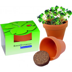 Tontöpfchen Glücksklee, 3 Glücksklee-Zwiebeln, 1-4 c Digitaldruck inklusive