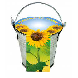 Zink-Eimerchen Sonne, Zwergsonnenblume, 1-4 c Digitaldruck inklusive Zink-Eimerchen Sonne, Zwergsonnenblume, 1-4 c Digitaldruck inklusive