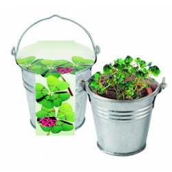 Eimerweise Glück, 1-4 c Digitaldruck inklusive Eimerweise Glück, 1-4 c Digitaldruck inklusive