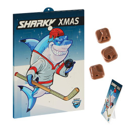 Sport-Adventskalender - Sportmotive