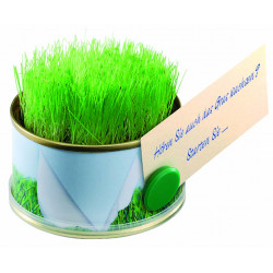 Mini Garten Gras 73 Øx38 mm mit Magnet, Zimmerrasen, 1-4 c Digitaldruck inklusive Mini Garten Gras 73 Øx38 mm mit Magnet, Zimmerrasen, 1-4 c Digitaldruck inklusive