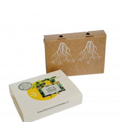 BloomsBox Mini mit 2 wachsenden Pflanzen in einem Karton