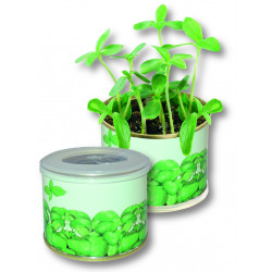 Kräuter-Dose 73 Ø x 58 mm, Basilikum, 1-4 c Digitaldruck inklusive Kräuter-Dose 73 Ø x 58 mm, Basilikum, 1-4 c Digitaldruck inklusive