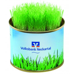 Grüne-Oase-Dose, Ø 73x58 mm, Zimmerrasen Grüne-Oase-Dose, Ø 73x58 mm, Zimmerrasen