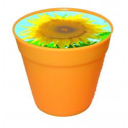 Business-Töpfchen gelb, Zwergsonnenblume