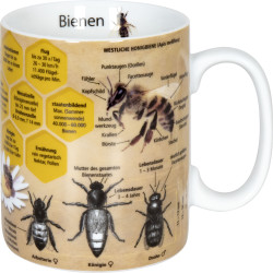 Könitz Porzellan Wissensbecher Bienen KC330 zusätzlich veredelbar Könitz Porzellan Wissensbecher Bienen KC330 zusätzlich veredelbar