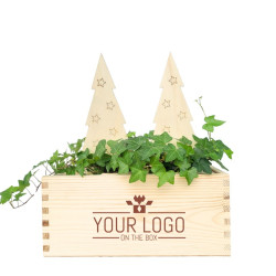 Xmas out of the Box Medium mit 2 Efeu und 2 Holzweihnachtsbäumen in Holzbox