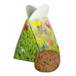 Blumige Überraschung, bunte Blumenmischung