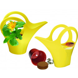 Camilla XS Sonne, Zwergsonnenblumen