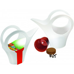 Camilla XS buntes Wachstum, bunte Blumenmischung Camilla XS buntes Wachstum, bunte Blumenmischung