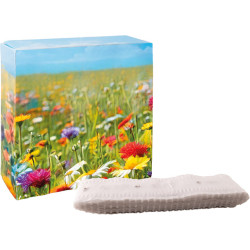 Meterweises Wachstum Blütenmeer, bunte Blumenmischung