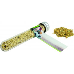 Reagenzglas Sportplatz, Fußballrasen