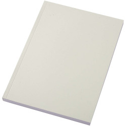 Scribe Plus A5 recyceltes Softcover Notizbuch