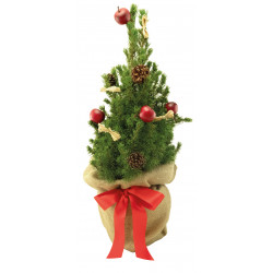 Classic-Bäumchen 35-45 cm, in Einzelkartonage