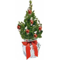 Schokotraum-Bäumchen 35-45 cm, in Einzelkartonage Schokotraum-Bäumchen 35-45 cm, in Einzelkartonage