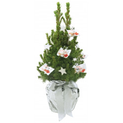 Kristall-Bäumchen 35-45 cm, in Einzelkartonage