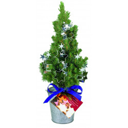 Backförmchen-Bäumchen 20-30 cm, in Einzelkartonage ohne Schuber Backförmchen-Bäumchen 20-30 cm, in Einzelkartonage ohne Schuber